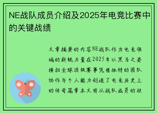 NE战队成员介绍及2025年电竞比赛中的关键战绩